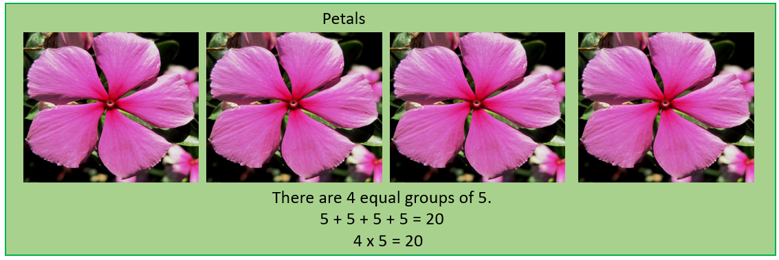 screen-2-natural-curriculum