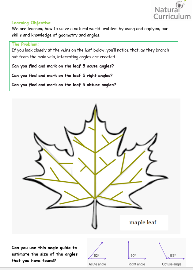 angles-worksheet-activities-Natural Curriculum-leafy angles
